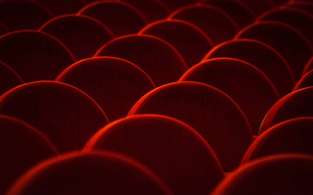 Spectacle de fin d&rsquo;année du collège René Cassin 2023